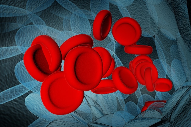 Representación 3d de los glóbulos rojos