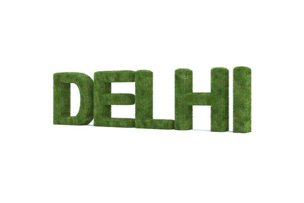 Foto representación 3d de hierba verde delhi palabra aislada