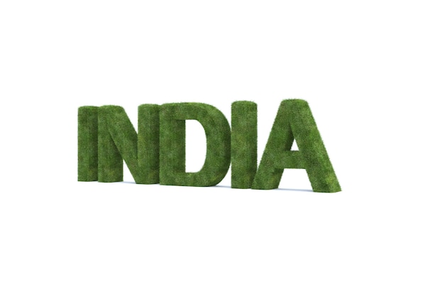 Foto representación 3d de hierba verde india palabra aislada