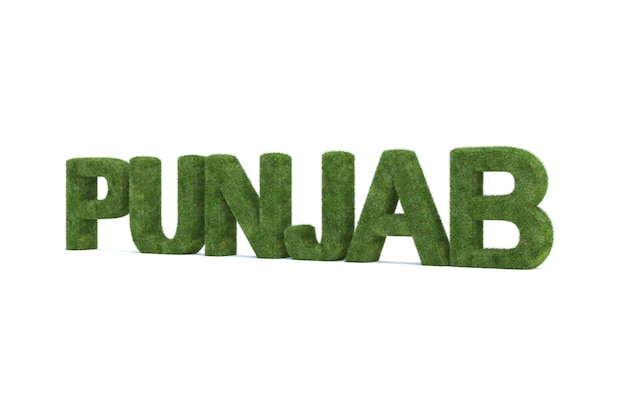 Representación 3D de hierba verde PUNJAB palabra aislada