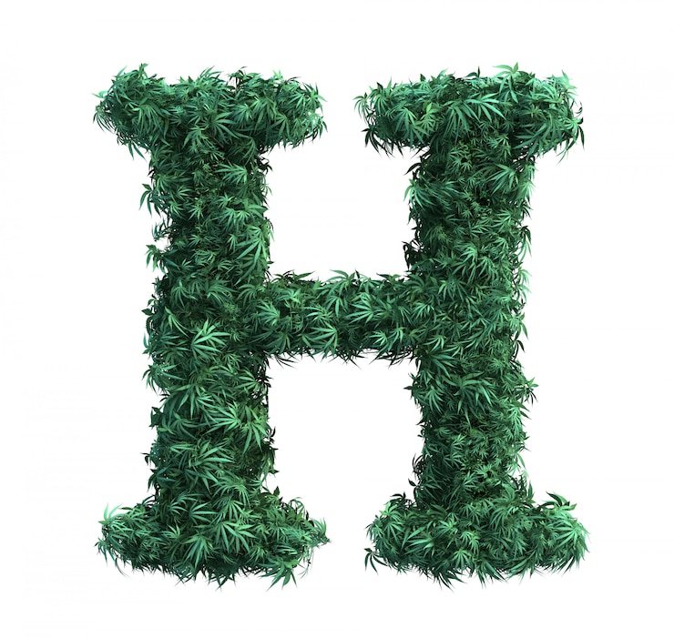 Foto representación 3d de hojas de cannabis que forman la letra h