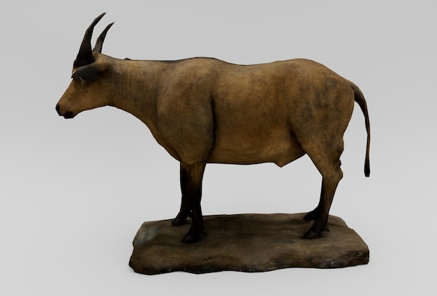 Representación 3d de mamíferos de búfalo africano sobre fondo blanco