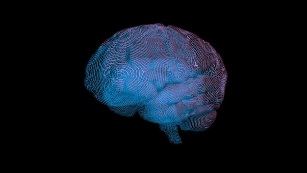 Representación 3D de un modelo informático de un cerebro humano