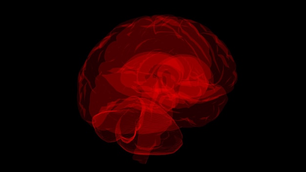 Representación 3D de un modelo informático de un cerebro humano