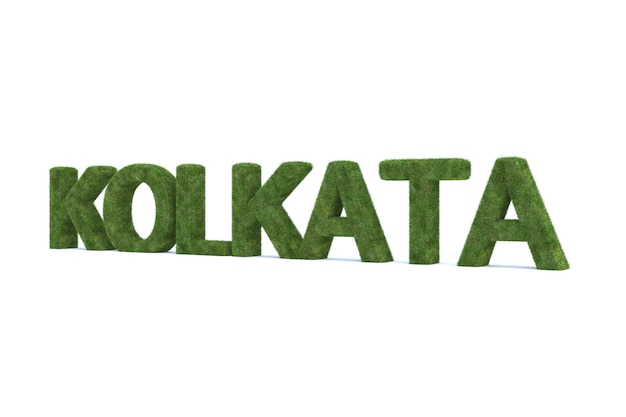 Representación 3D de la palabra kolkata de hierba verde aislada