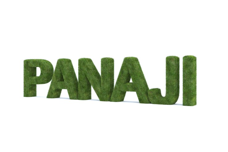 Foto representación 3d de la palabra panji de hierba verde aislada