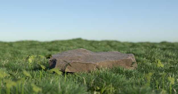 Representación 3D de piedra y hierba