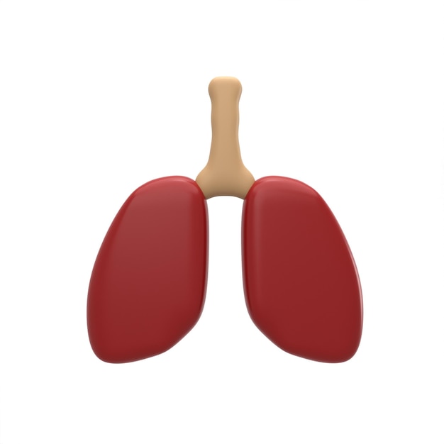 Representación 3d de los pulmones