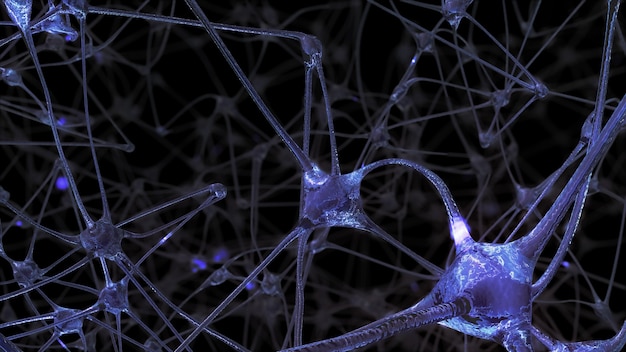 Representación 3D de una red de células neuronales y sinapsis a través de las cuales pasan los impulsos eléctricos y las descargas durante la transmisión de información dentro del cerebro humano.