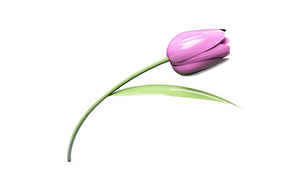Representación 3d de tulipanes coloridos con trazado de recorte