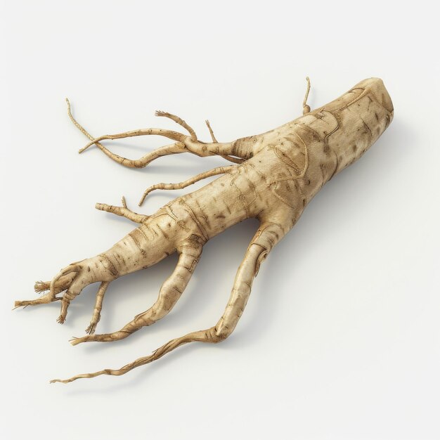 Foto representación detallada en 3d de una raíz de ginseng aislada sobre un fondo blanco