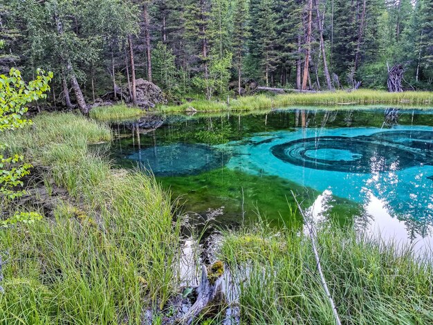 República de Altai Siberia Rusia Junio de 2020 Lago géiser azul en las montañas de Altai Altay