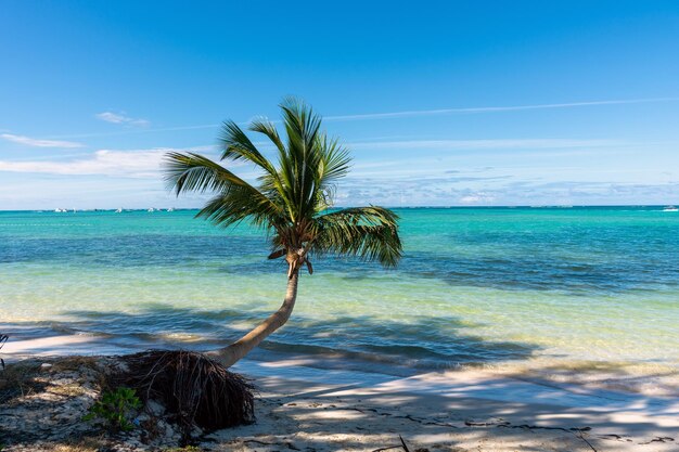 República Dominicana hermosa costa caribeña con agua turquesa y palmeras