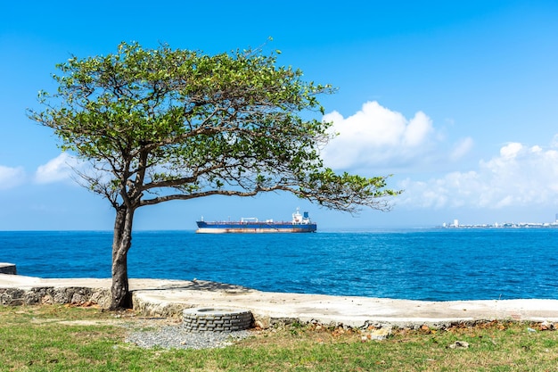 República Dominicana Santo Domingo bela costa do mar do Caribe com água turquesa e palmeiras