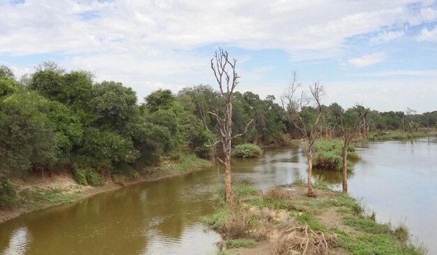 Reserva de caza de Pilanesberg