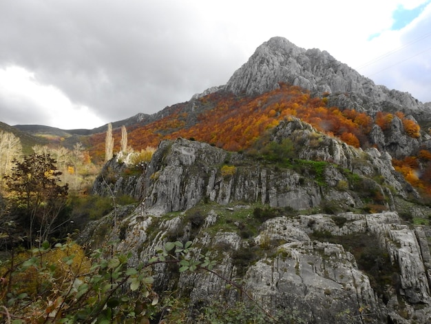 Reserva de la biosfera en la montana leonesa