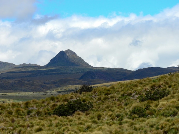 Foto reserva ecológica antisana volcán antisana ecuador