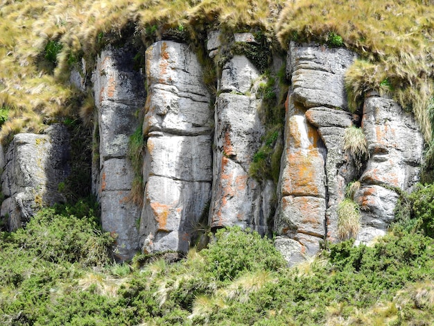 Reserva Ecológica Antisana Volcán Antisana Ecuador