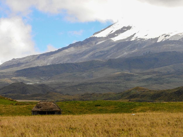 Reserva Ecológica Antisana Volcán Antisana Ecuador