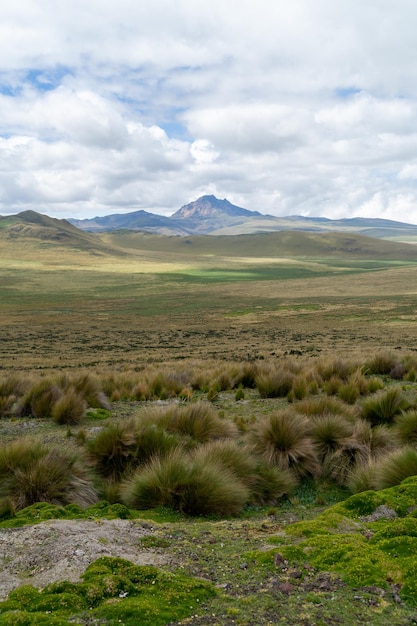 Foto reserva ecológica antisana vulcão antisana equador