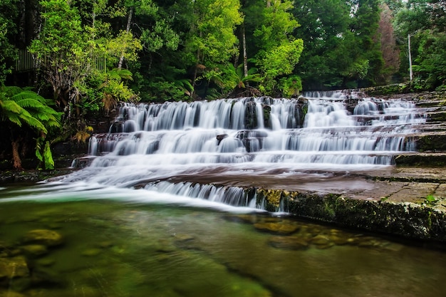 Foto reserva estatal de liffey falls en la región de midlands de tasmania, australia.