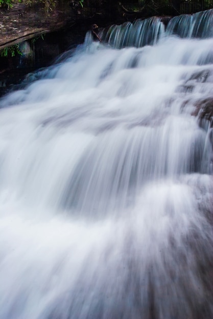 Foto reserva estatal de liffey falls en la región de midlands de tasmania, australia.