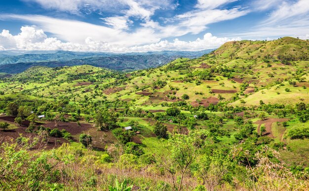 Reserva florestal de Bonga no sul da Etiópia