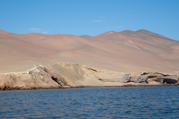 Reserva Nacional de Paracas