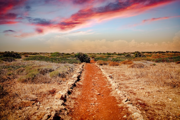 Foto reserva natural de vendicari ao pôr do sol