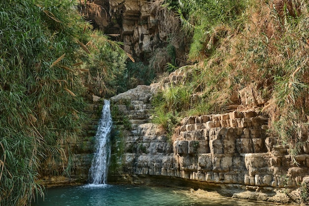 Reserva natural de Ein Gedi frente a la costa del Mar Muerto