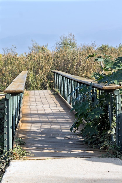 Reserva natural de Hula en Israel