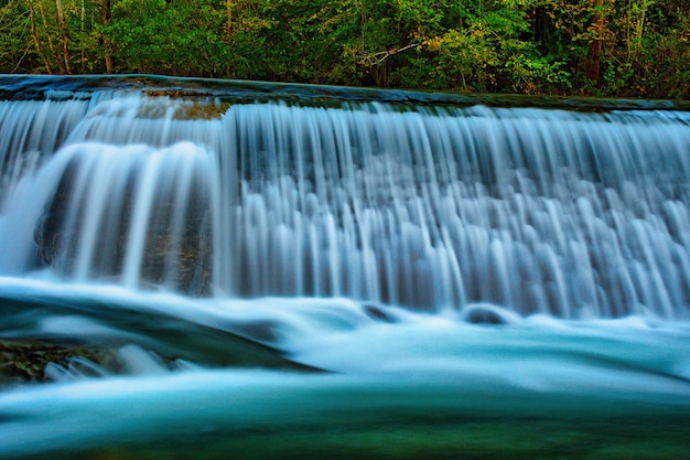 Reserva natural integral de Muniellos en Asturias