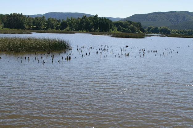 Reserva natural na cidade de Validivia Chile