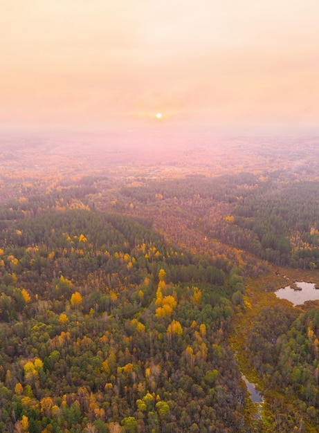 Reserva natural Sin'sha (Bielorrusia) a vista de pájaro