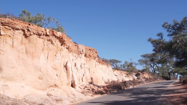 Reserva natural de Torrey Pines State Park Road para la erosión del ecoturismo