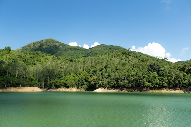 Reservatório e floresta