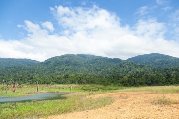 Reservatórios, vales e florestas