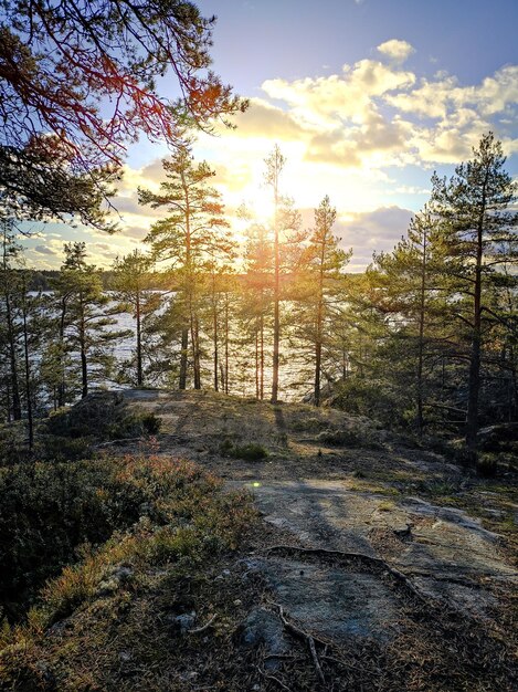 Reservieren Lodzhodsie Schären in Karelien Foto in hoher Qualität