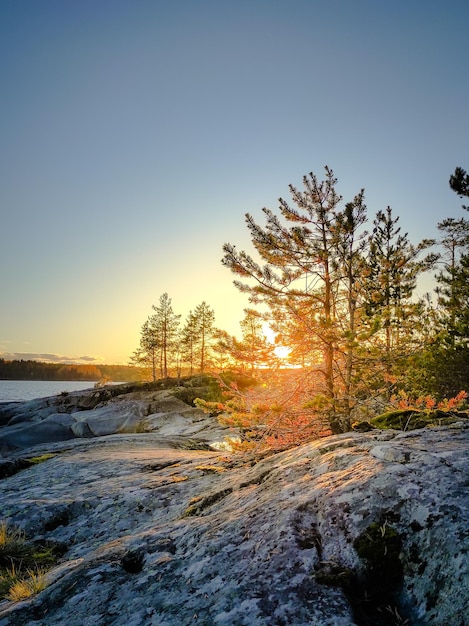 Reservieren Lodzhodsie Schären in Karelien Foto in hoher Qualität