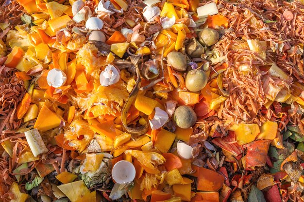 Residuos de alimentos en un montón de compost como fertilizante para el jardín Compostaje de residuos vegetales