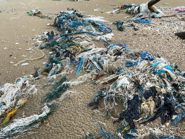 Foto resíduos de plástico e galhos na praia