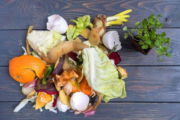 Resíduos de vegetais e frutas da cozinha e um pote de turfa com mudas compostagem o conceito de desperdício zero