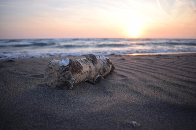 Resíduos plásticos despejados na praia