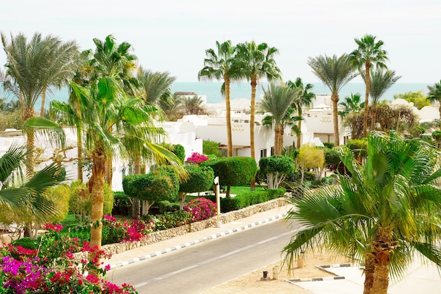 Resort de praia com palmeiras na costa do Mar Vermelho em Sharm el Sheikh Sinai, Egito