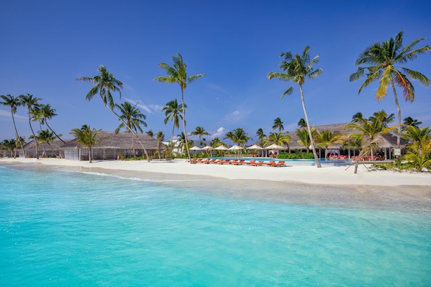 Resort de praia de luxo com piscina e cadeiras de praia ou espreguiçadeiras sob guarda-chuvas de palmeiras de coco