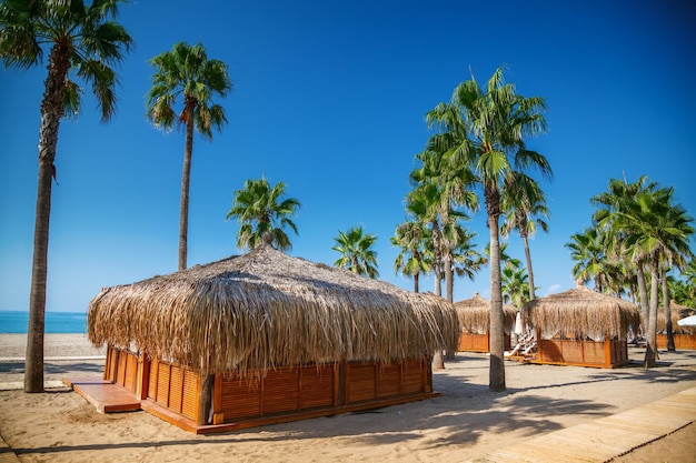 Resort de playa tropical con palmeras y bungalows en la playa en Turquía