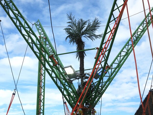 Foto el resorte de la palma