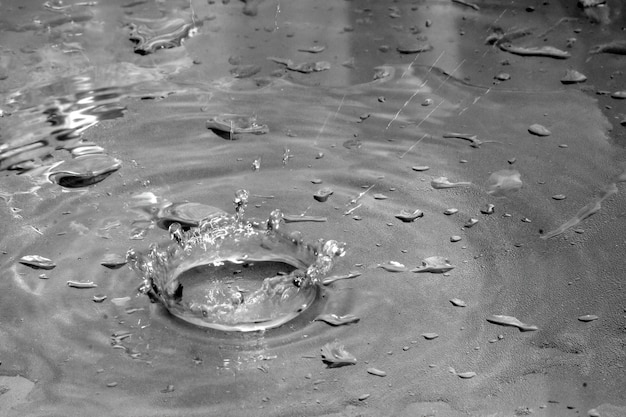 Respingos de água de uma gota caindo com ondas circulares