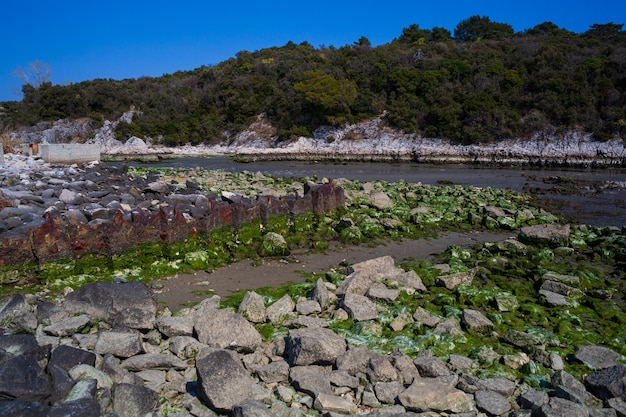 Ressurgências do rio timavo