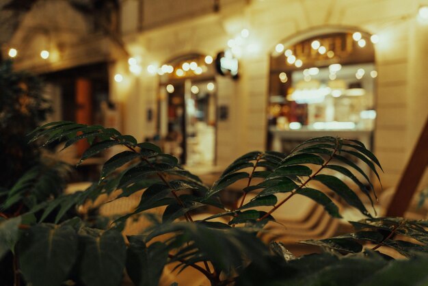 Un restaurante con un letrero que dice 'cafe la casa'